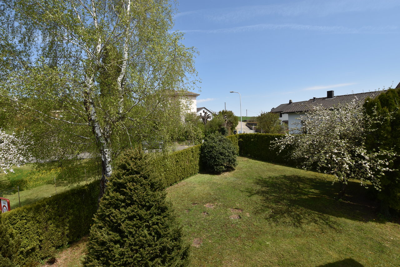 Picture 7