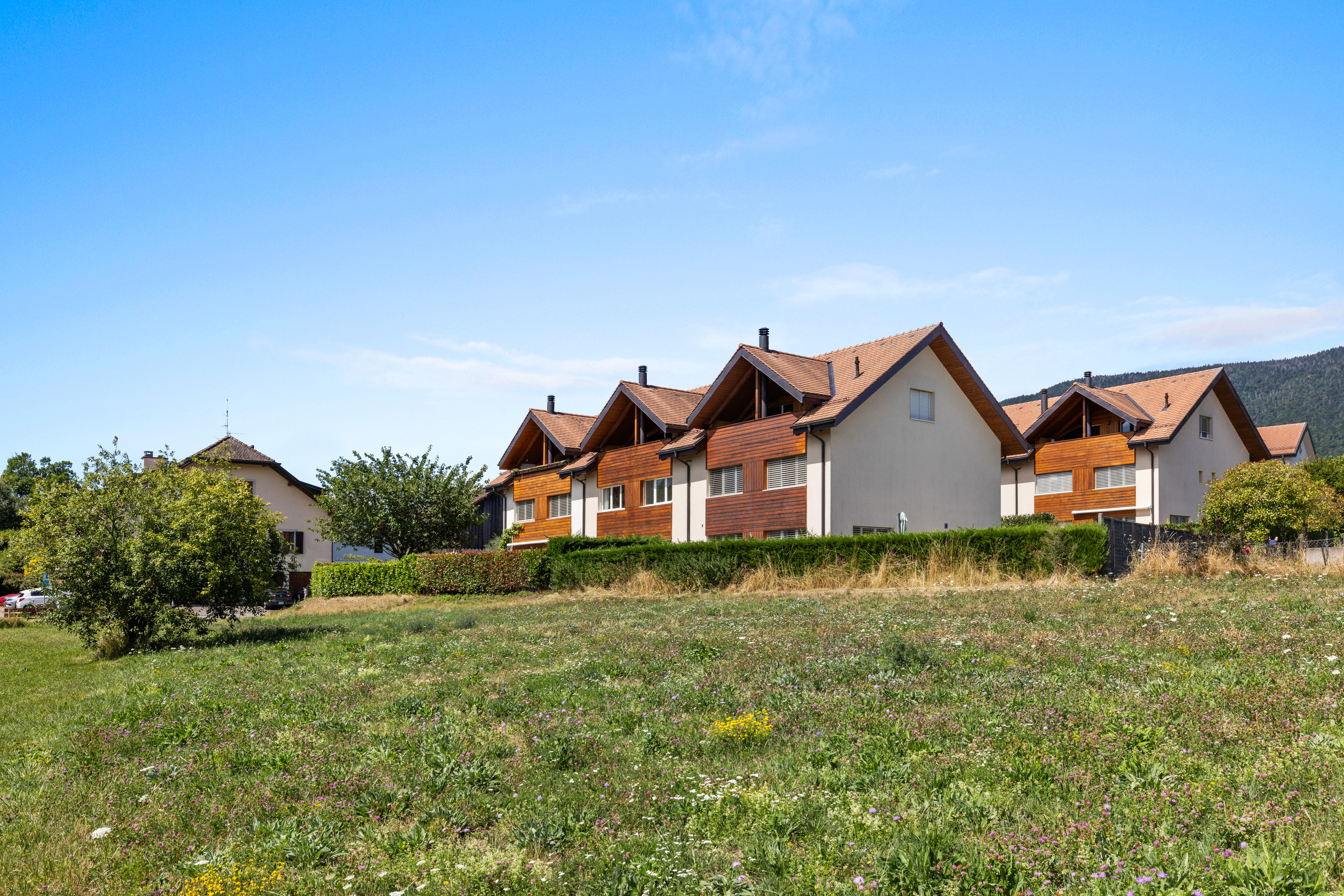 View from the fields