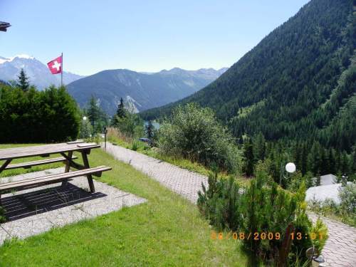 Photo 8