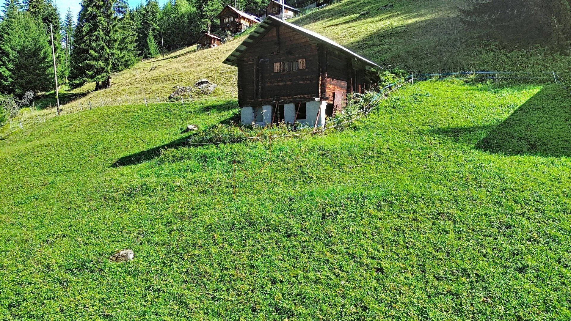 Picture 1