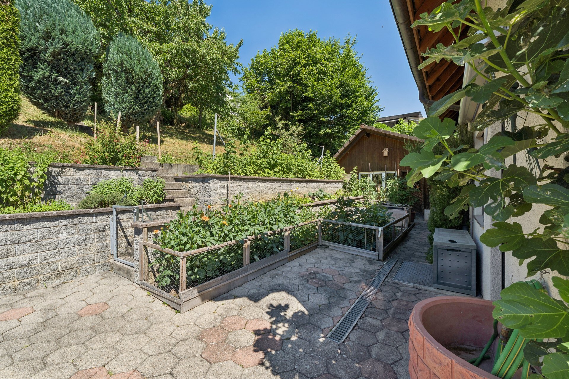 Photo 13