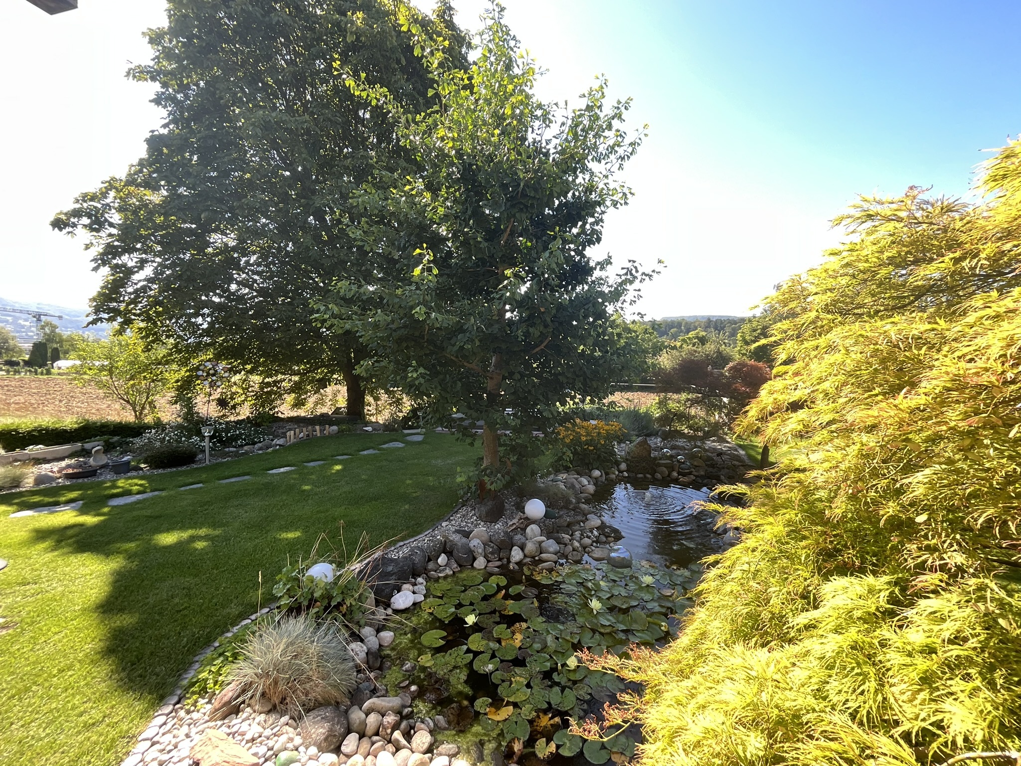 Garten mit Teich  Garten mit Teich
