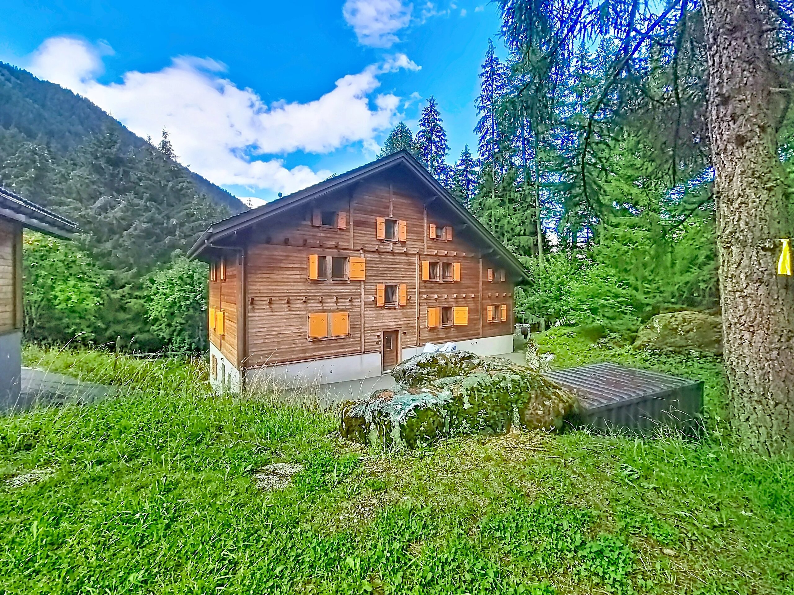 Photo 10
