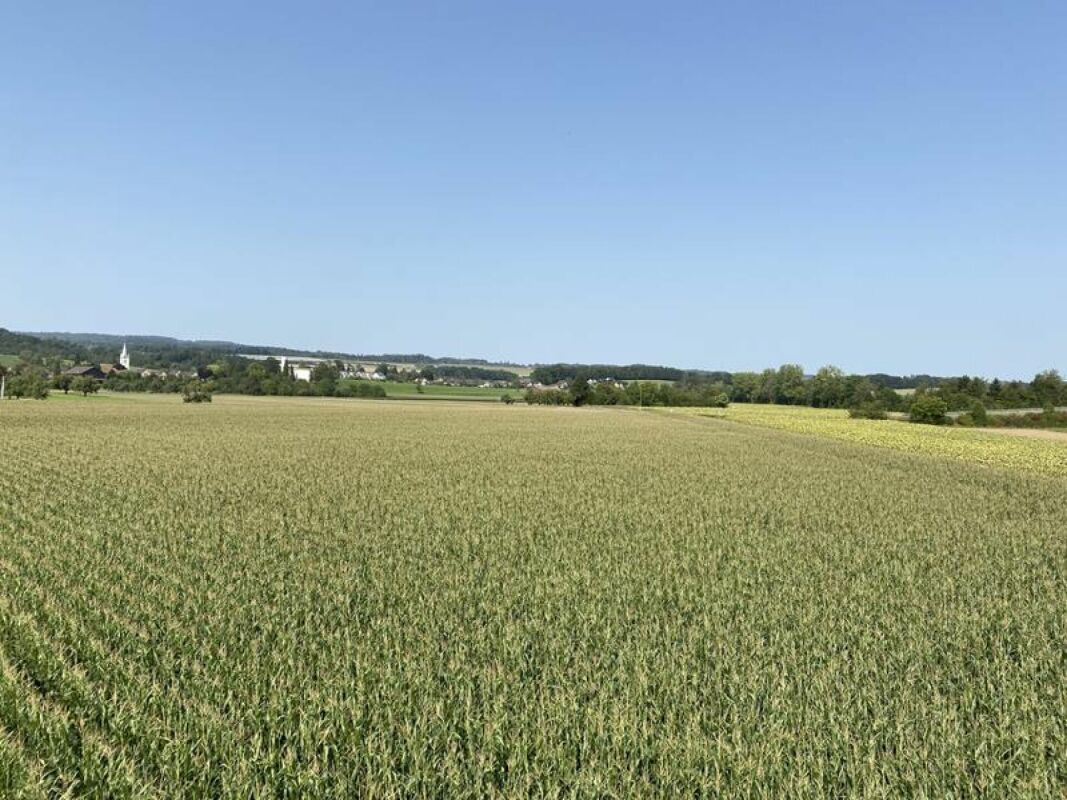 Premier coup d'oeil 2