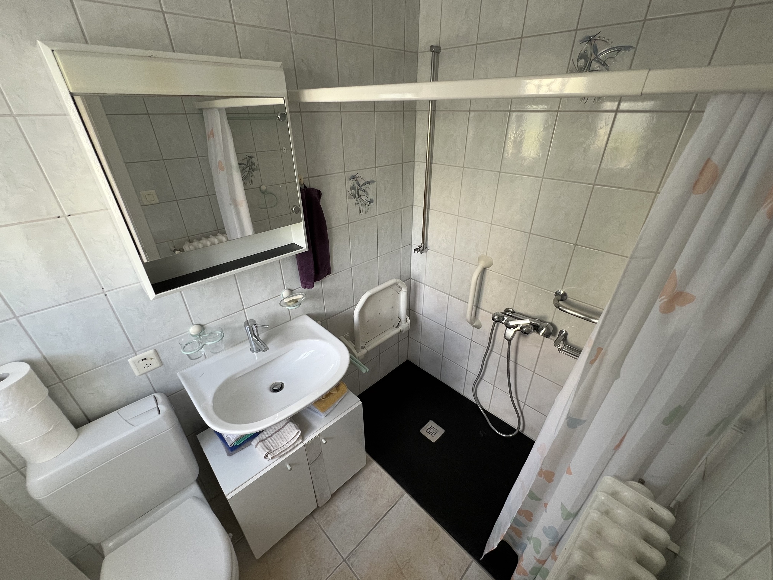 Salle d'eau avec douche à l'italienne Salle d'eau avec douche à l'italienne