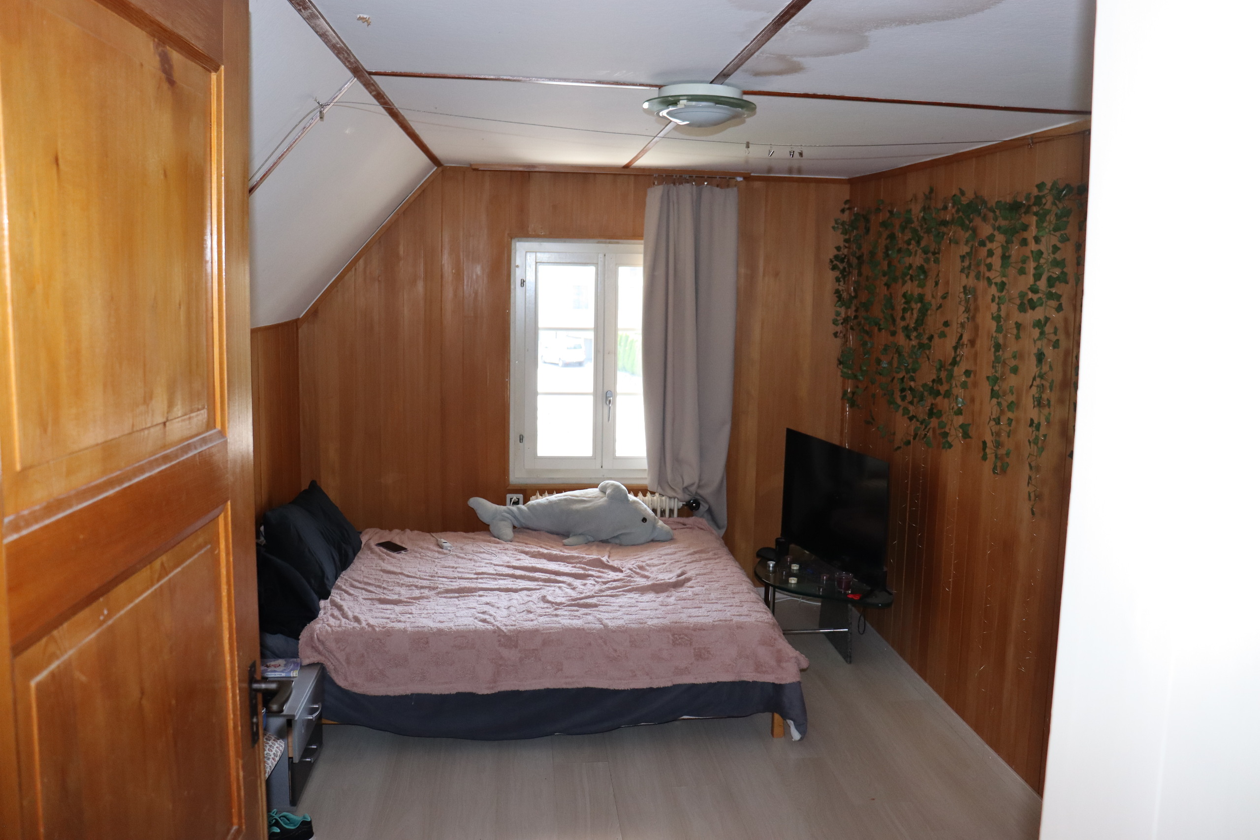 Photo 5