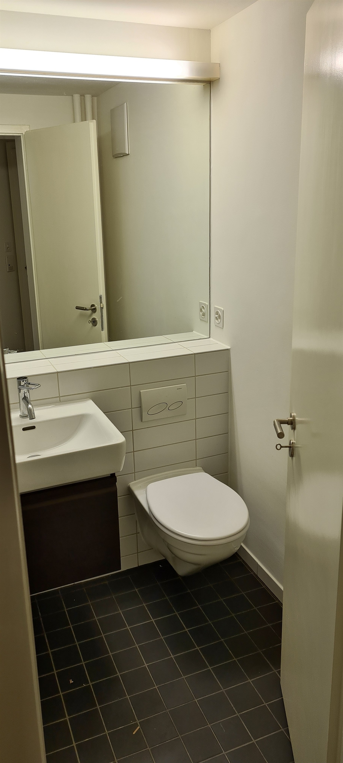 Picture 5