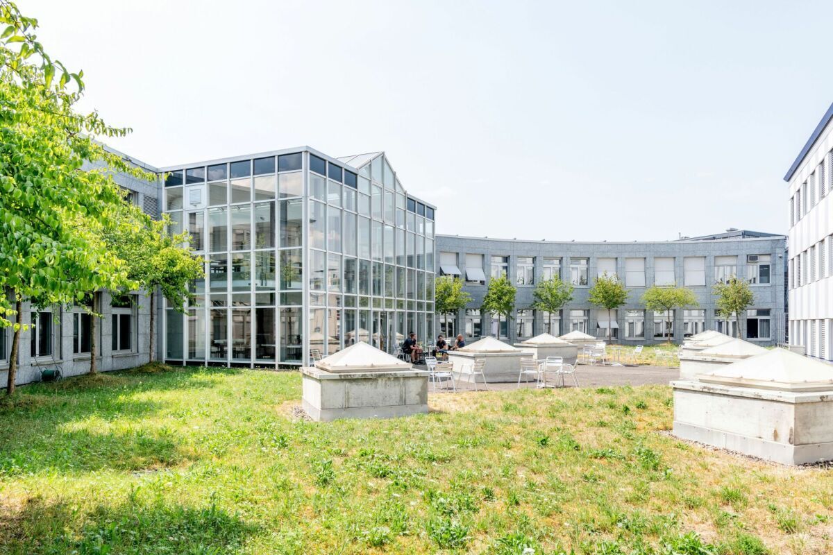 Foto 2