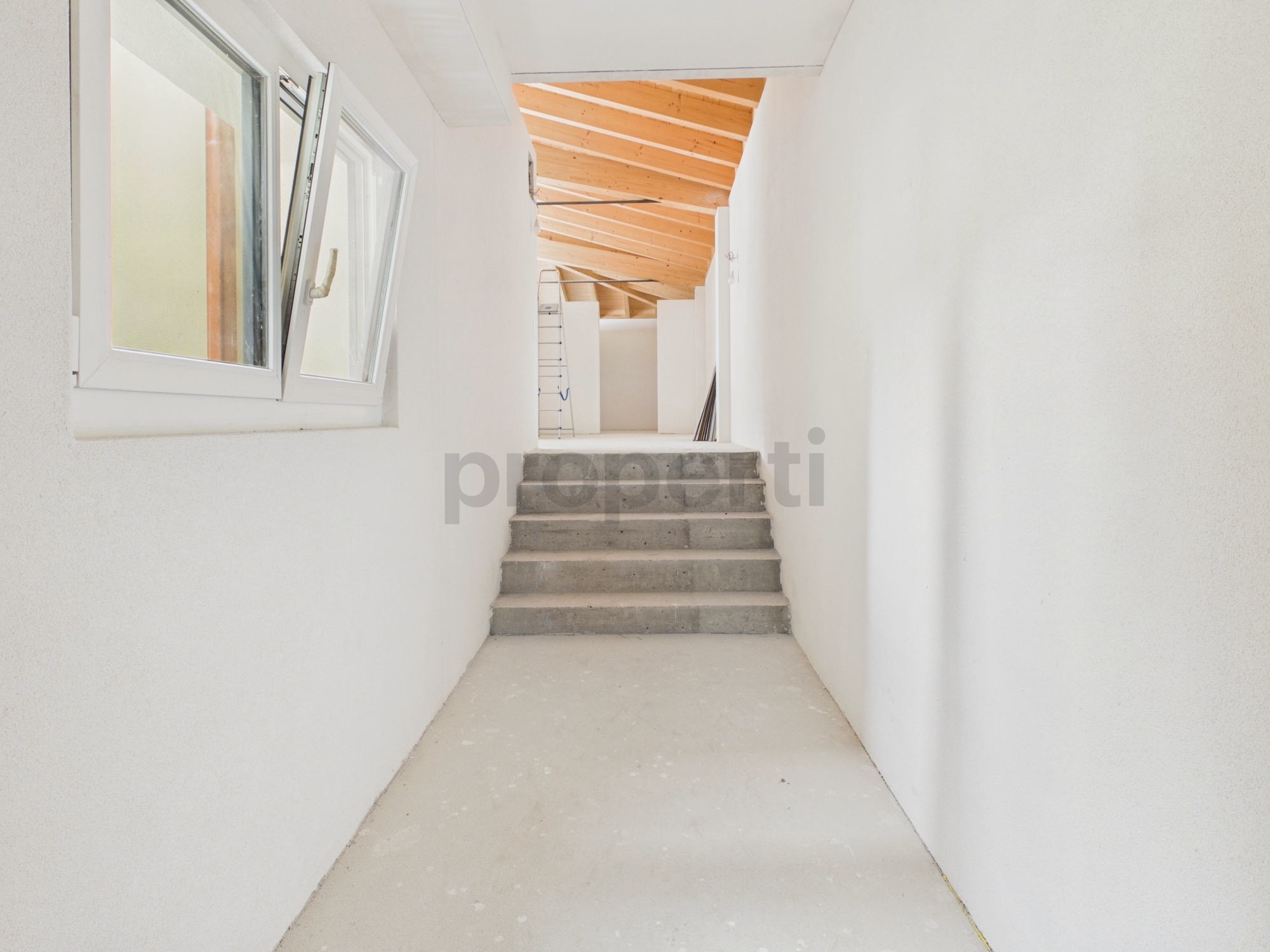 Image 5 Image 5