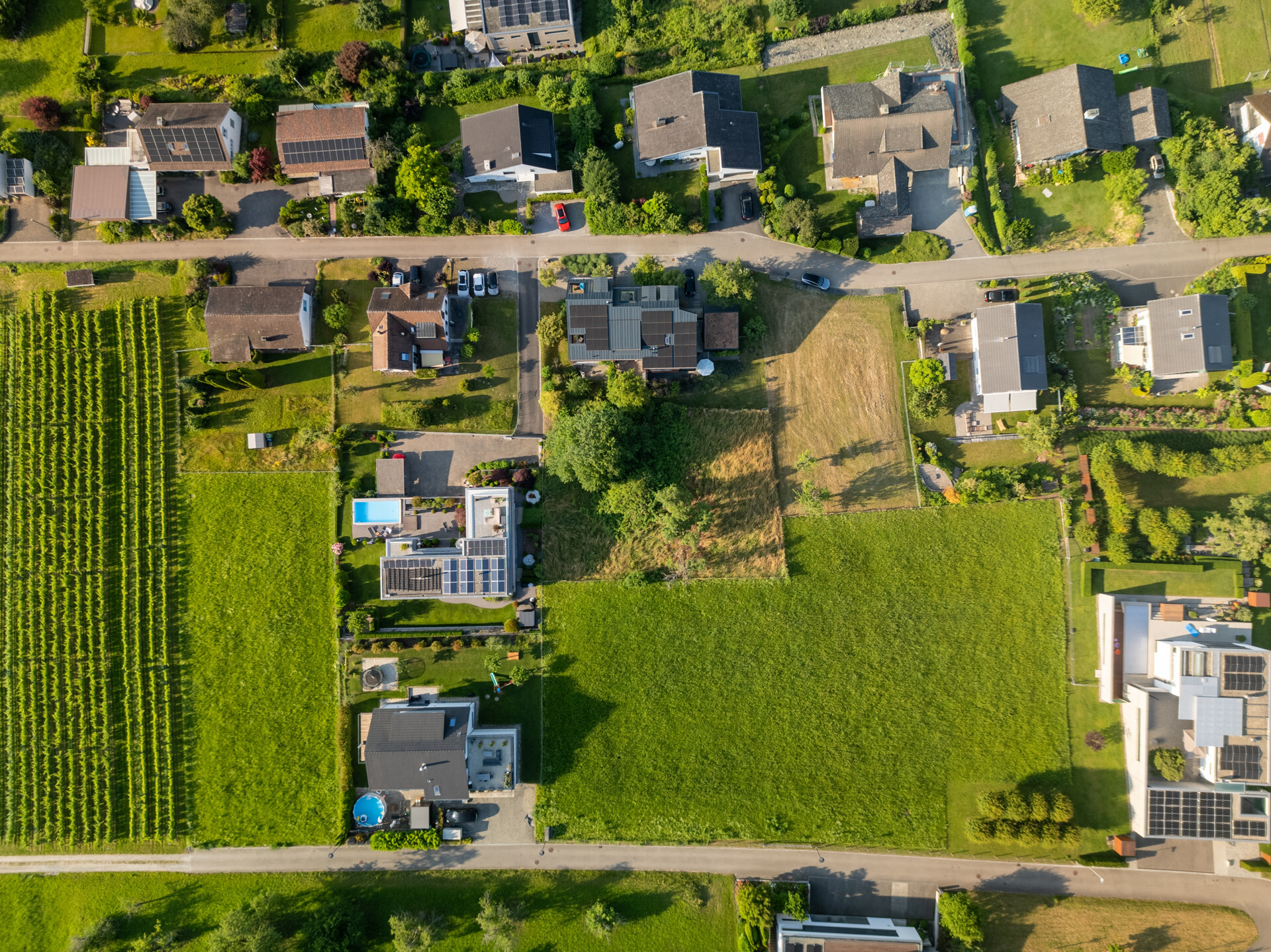 Immagine di copertina 2