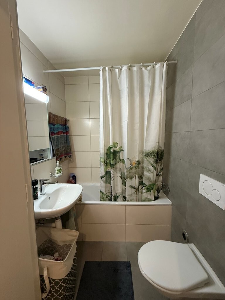 Picture 6