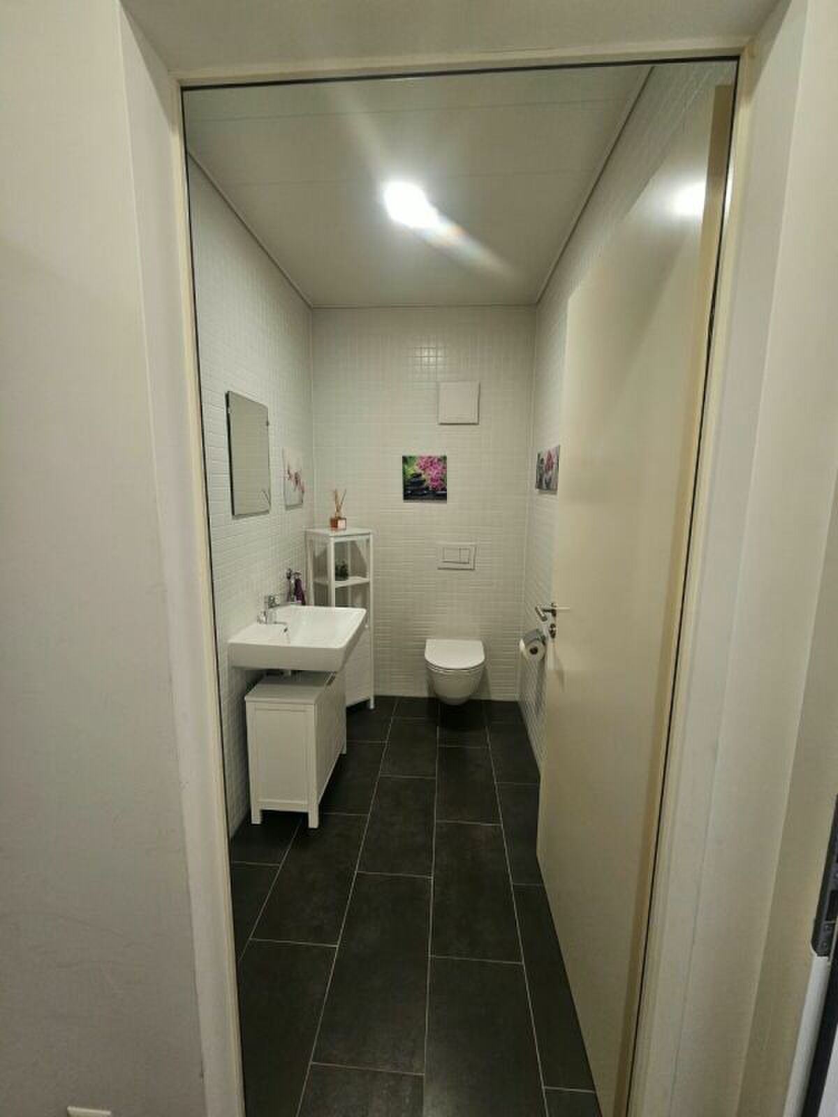 Picture 12