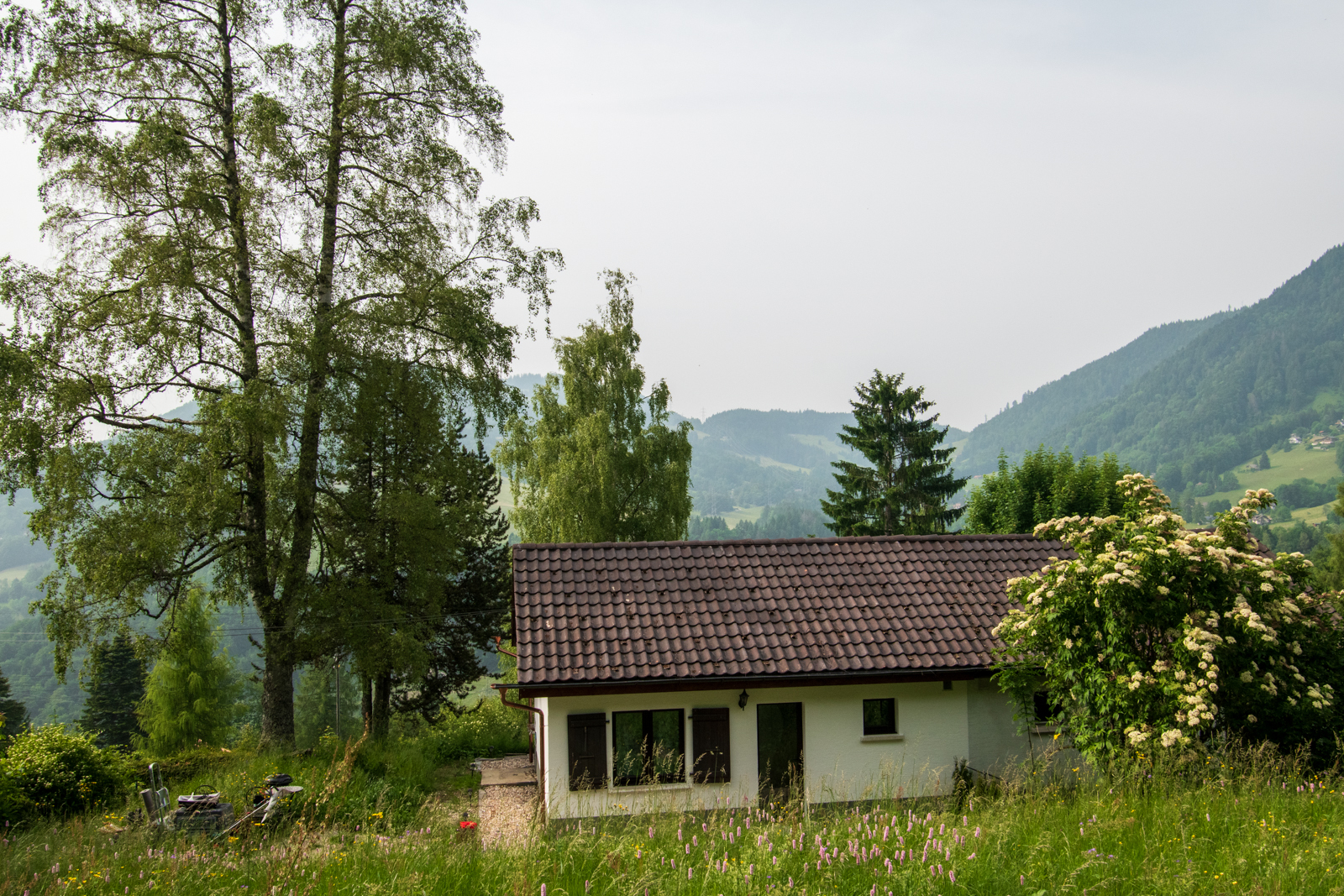 Foto 1