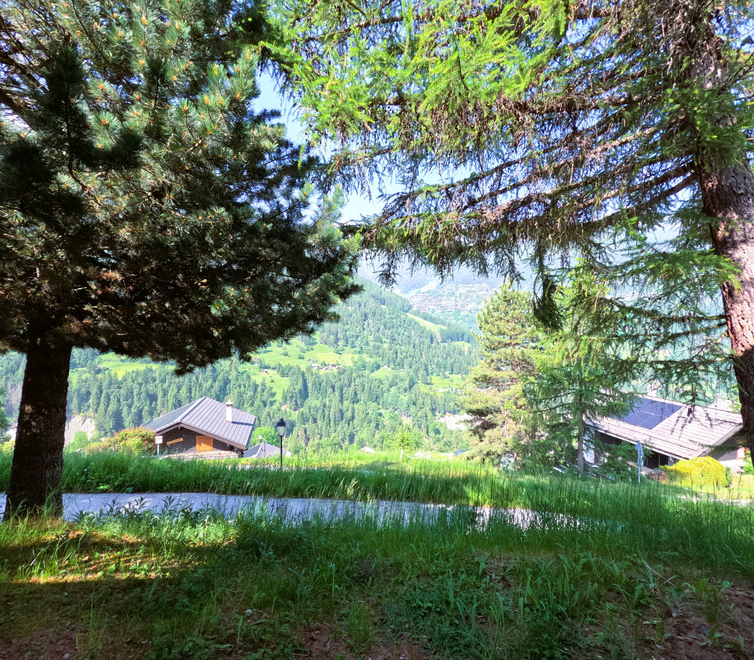 Vue du chalet  Vue du chalet