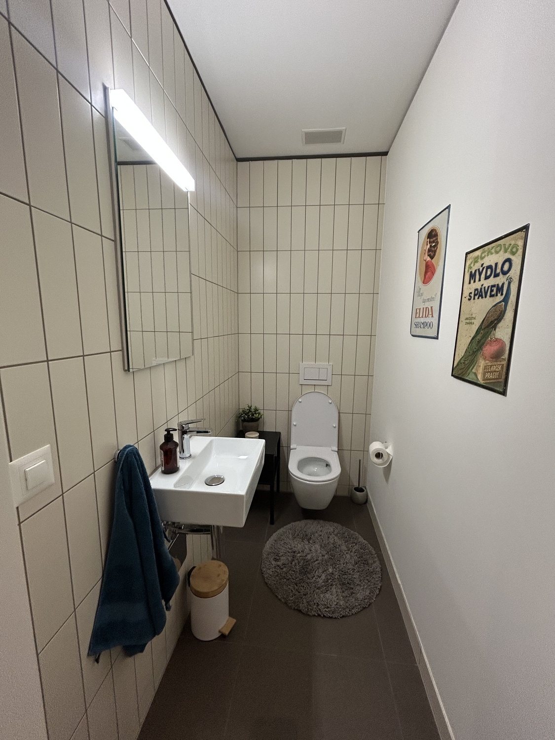 Picture 6