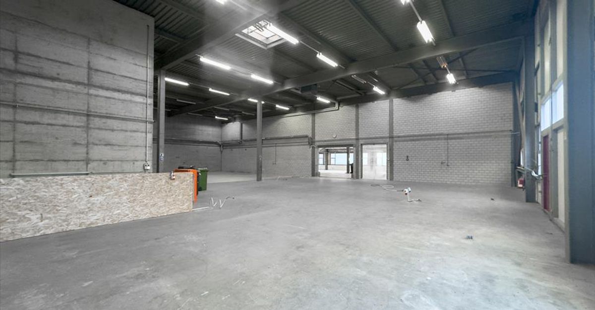 Picture 5