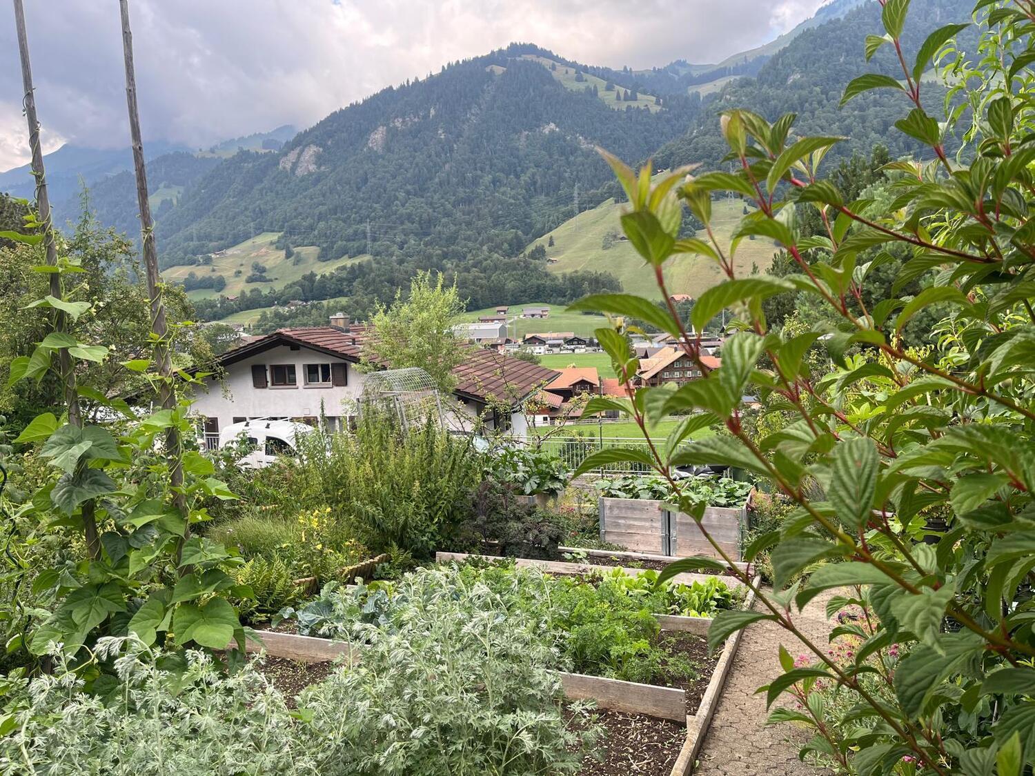 Foto 15