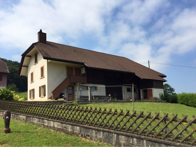 Photo 6