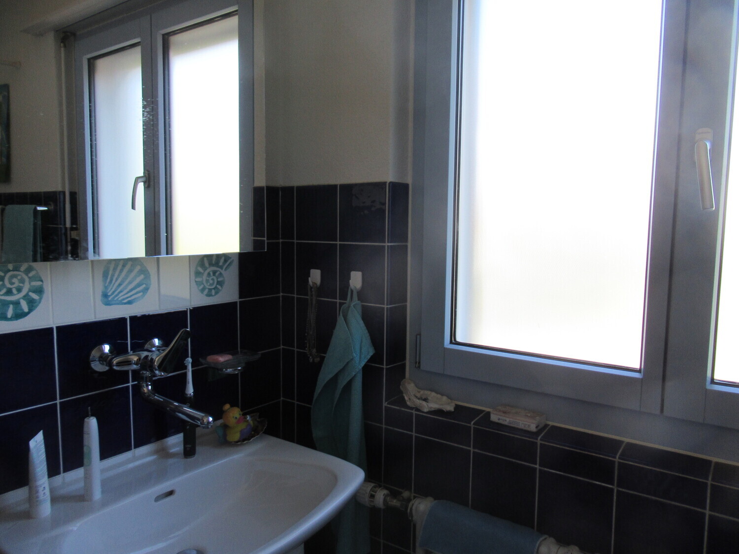 Foto 11