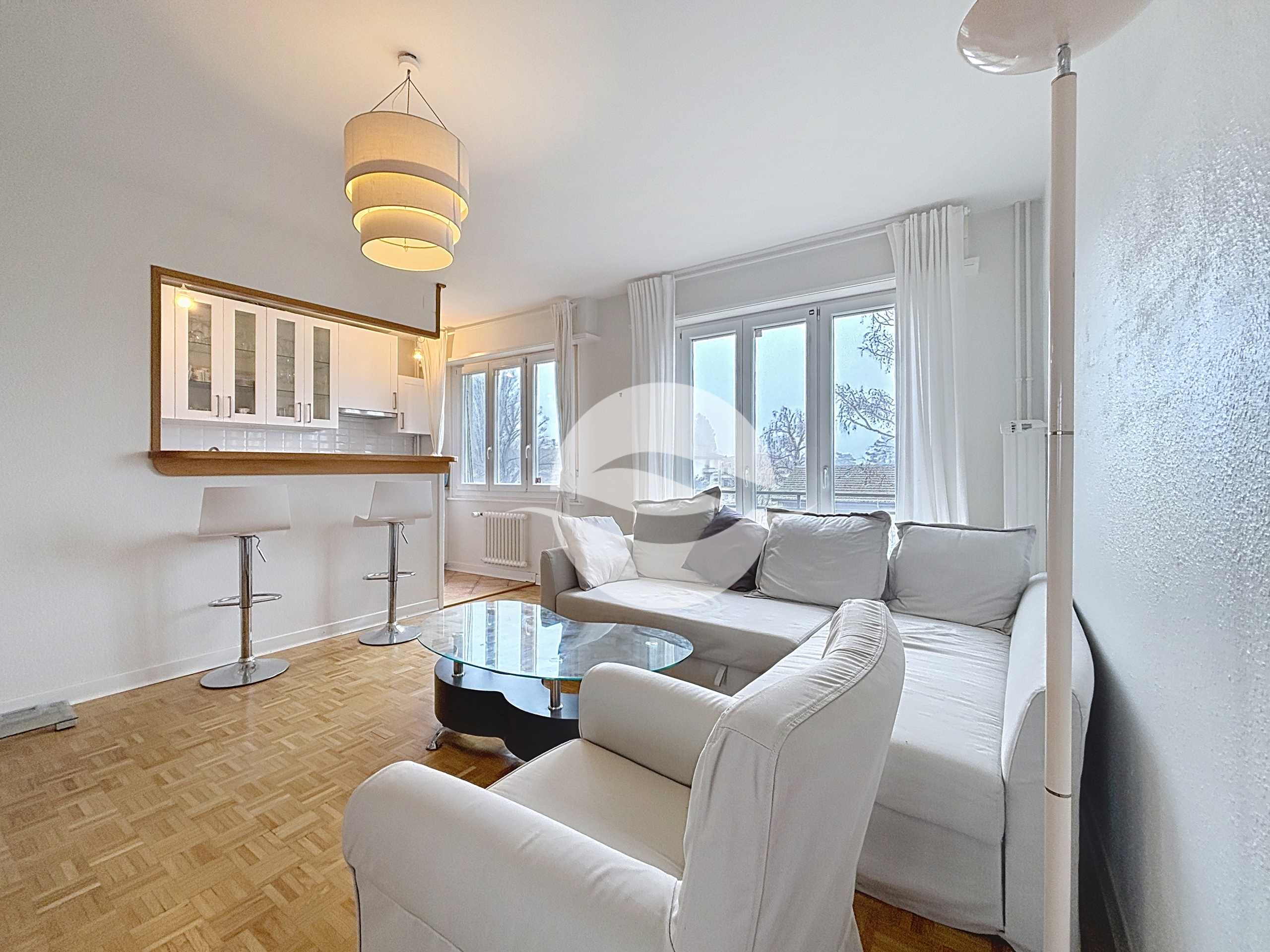 Grand salon lumineux