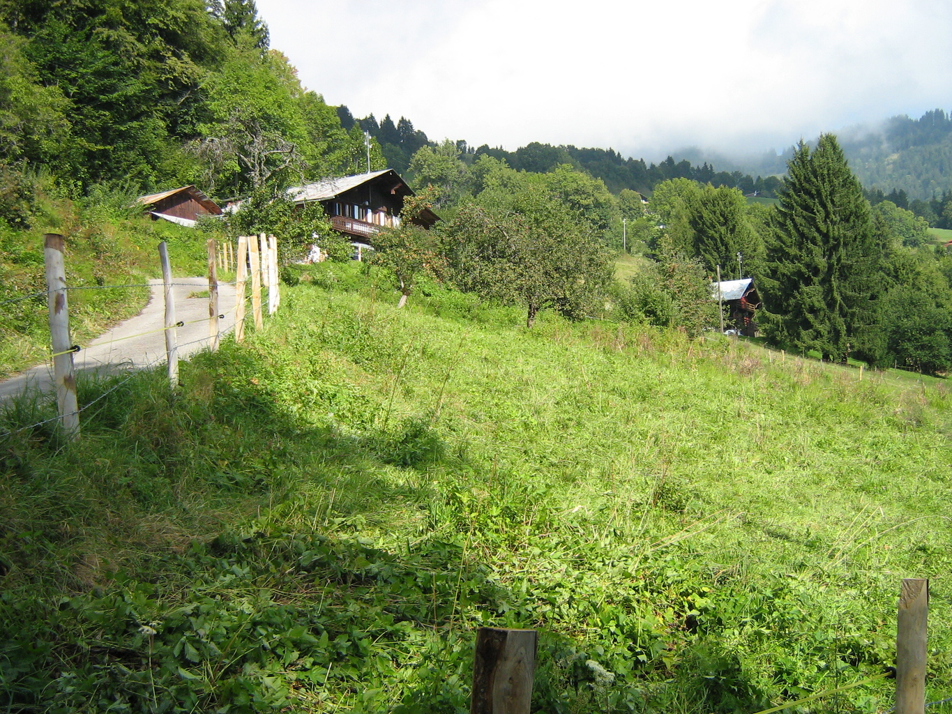 Photo 9
