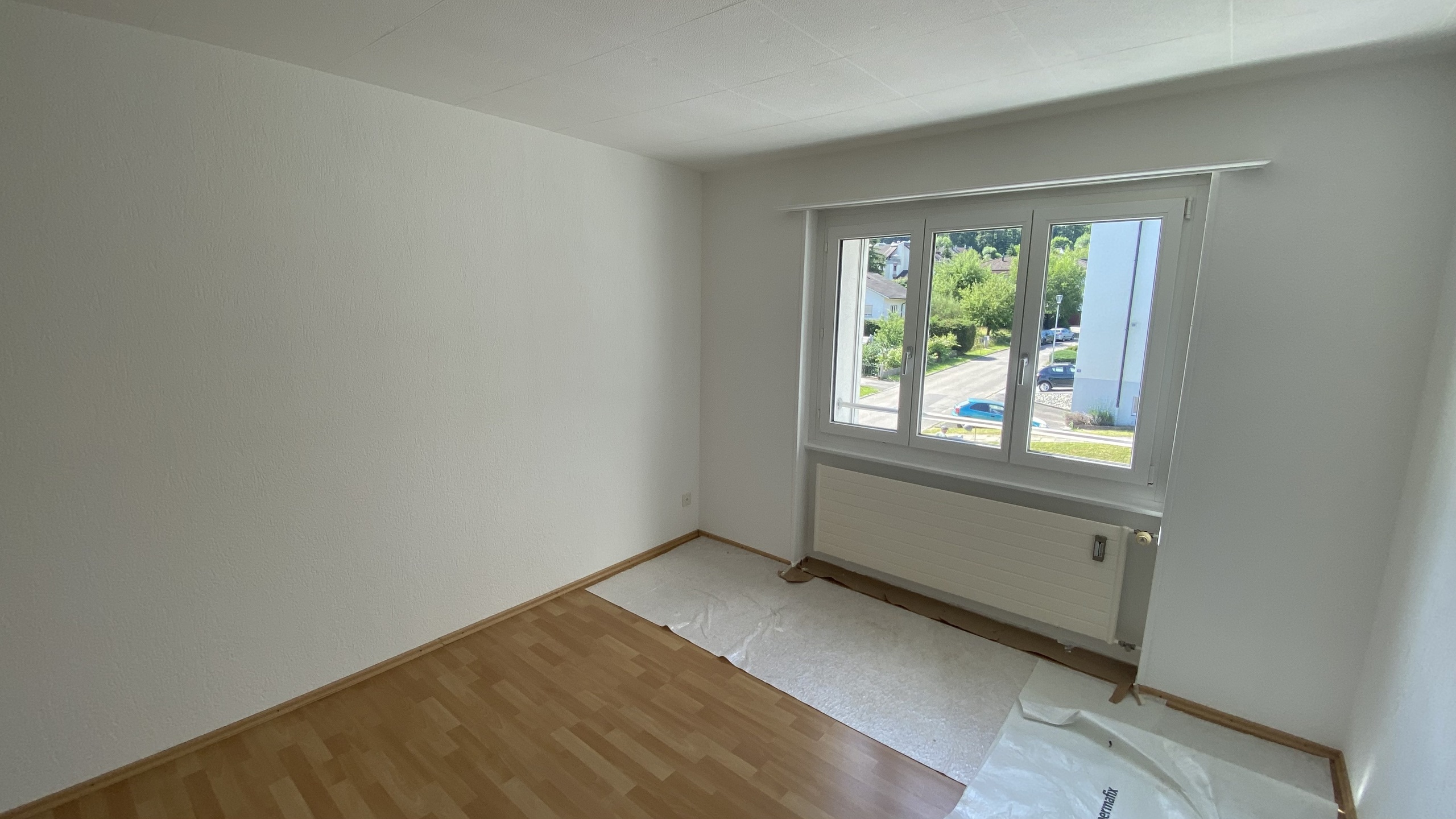 Picture 6