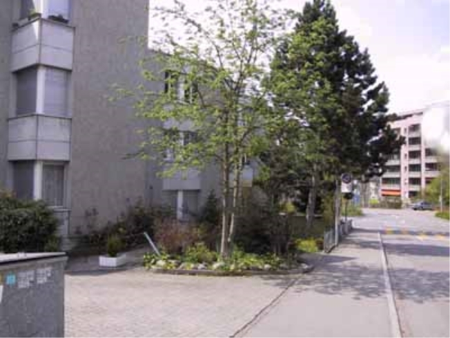Firstview