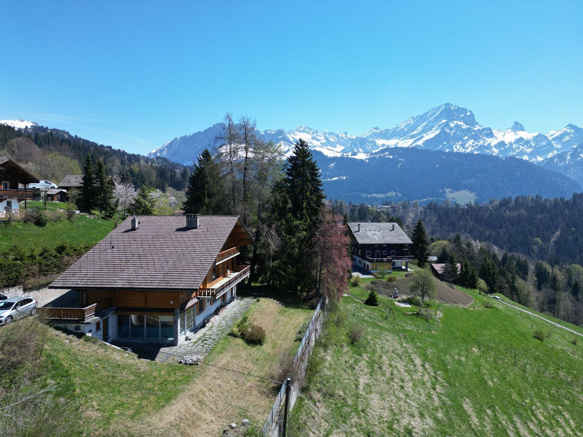Photo 1