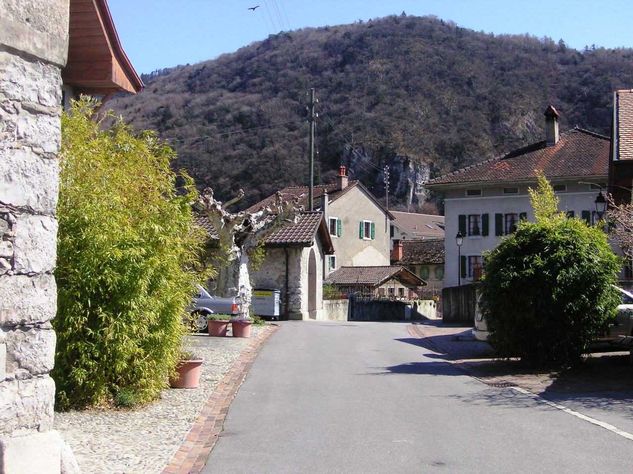 Photo 3