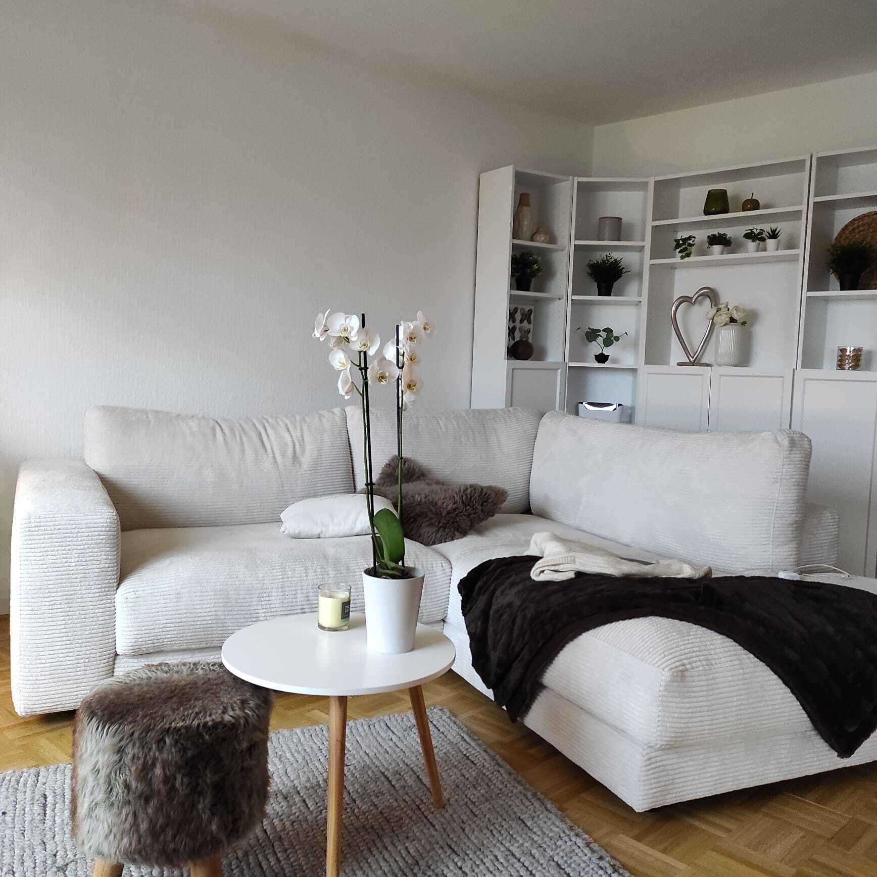 Interior view 2