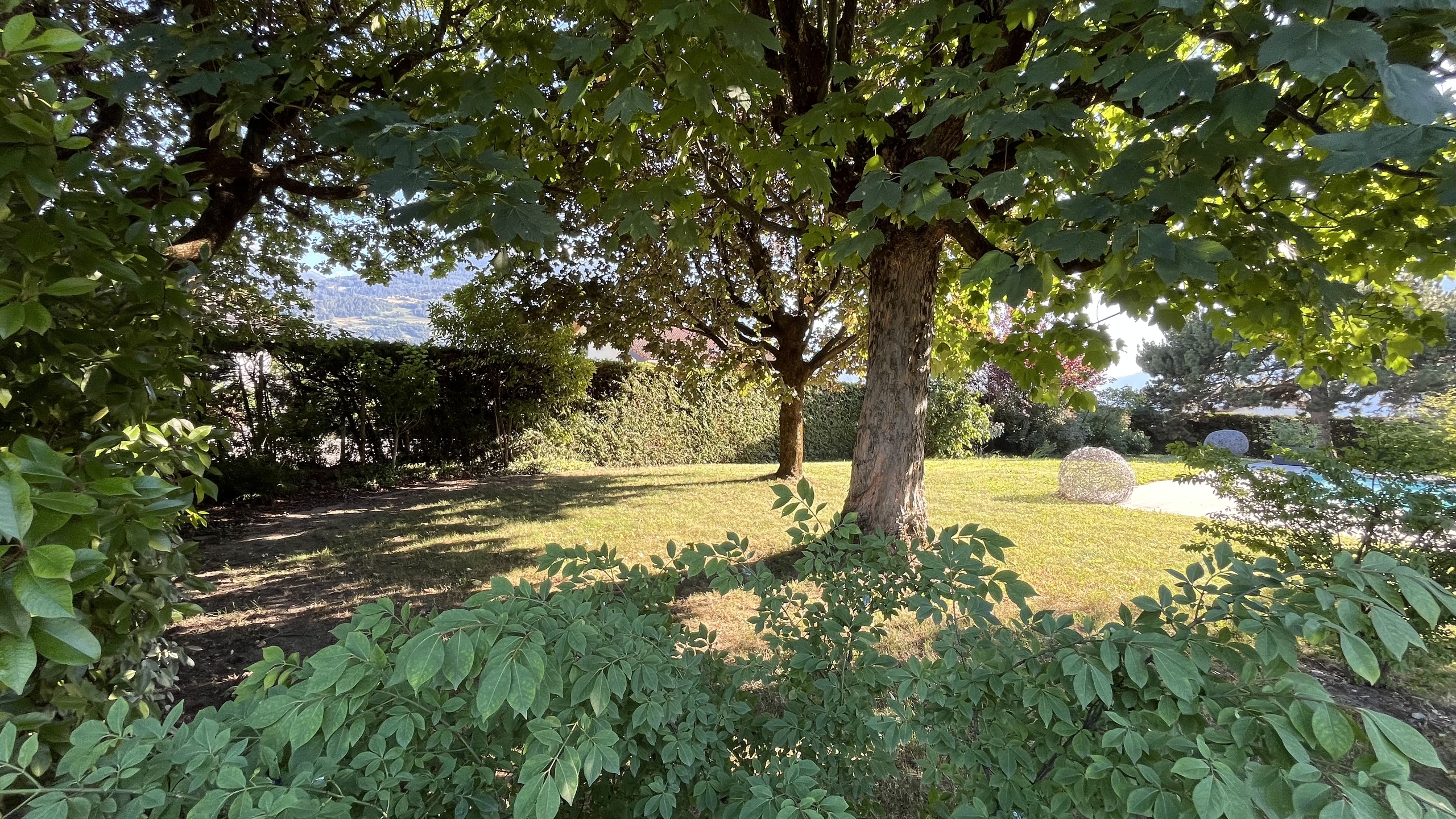 espace forêt espace forêt