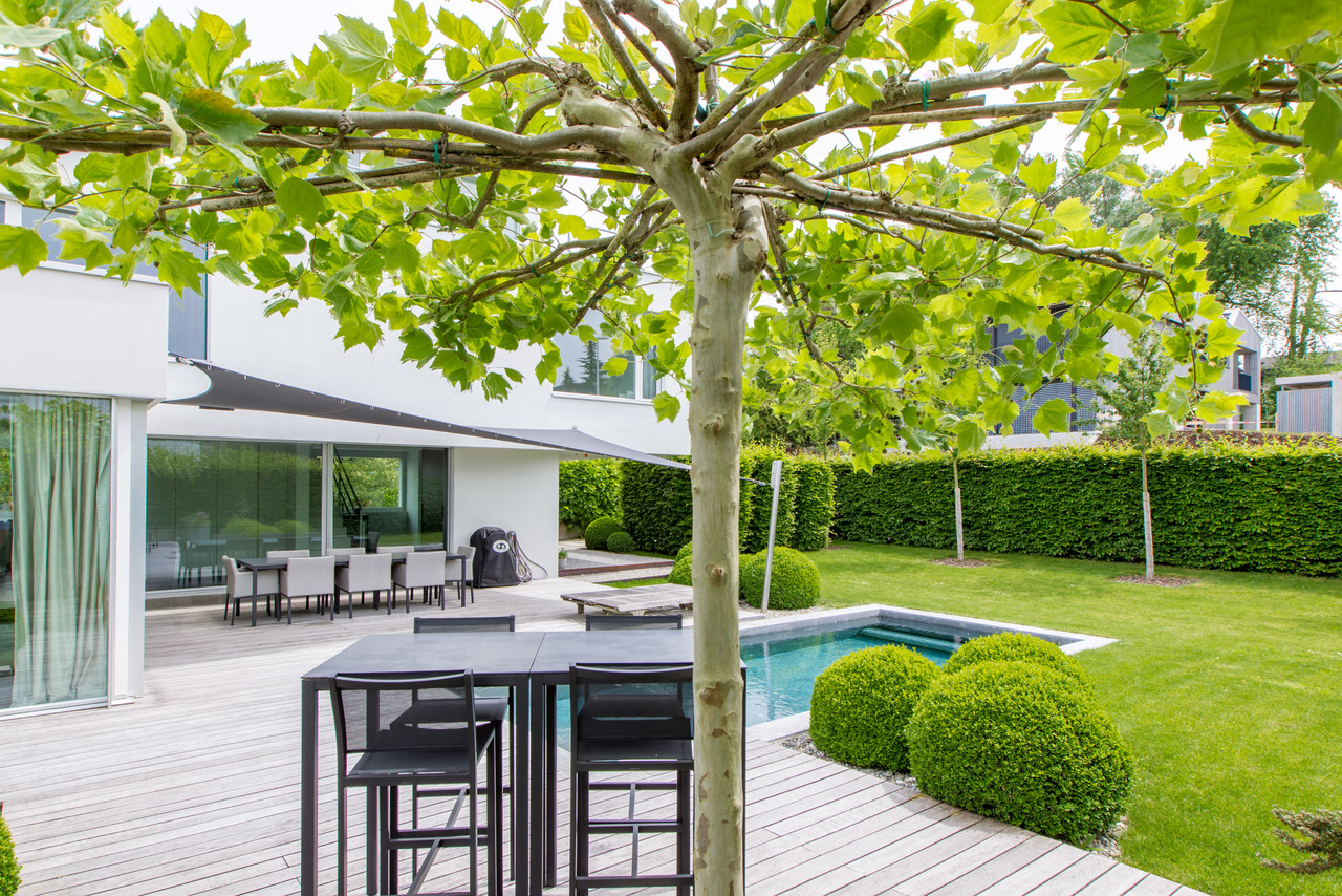 Grossflächige Veranda mit hochwertigem Holzboden. Grossflächige Veranda mit hochwertigem Holzboden.