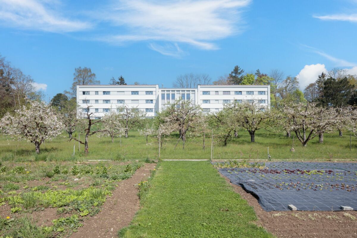 Domaine et vergers Domaine et vergers