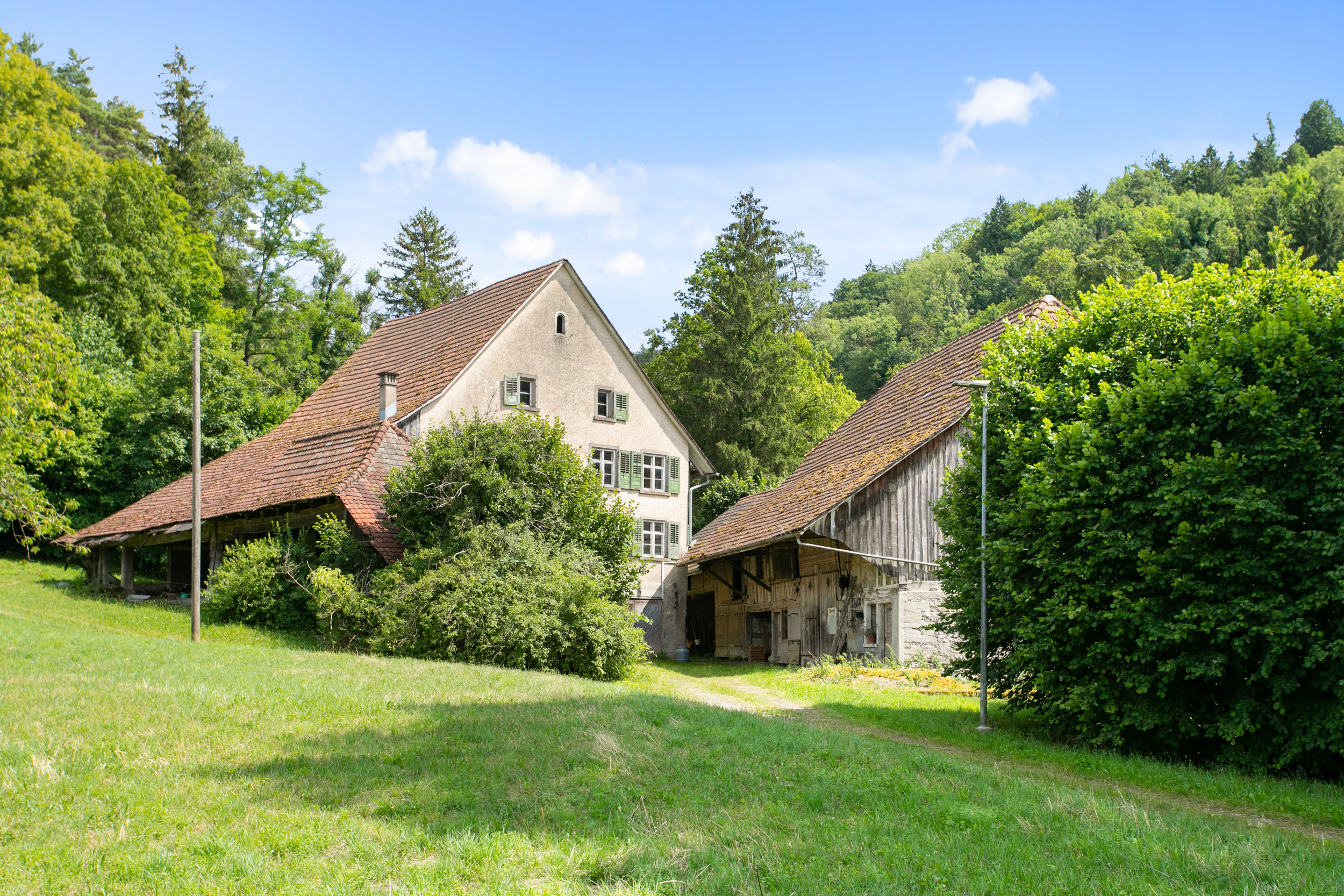 Investitions-Gelegenheit 