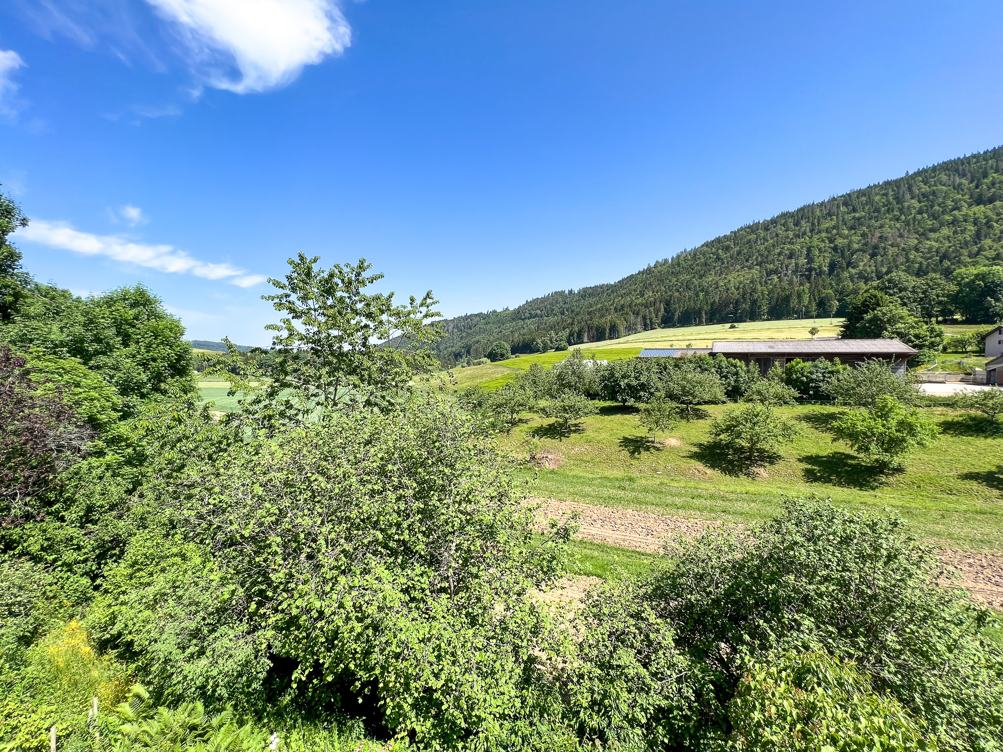 Vue depuis le salon Vue depuis le salon