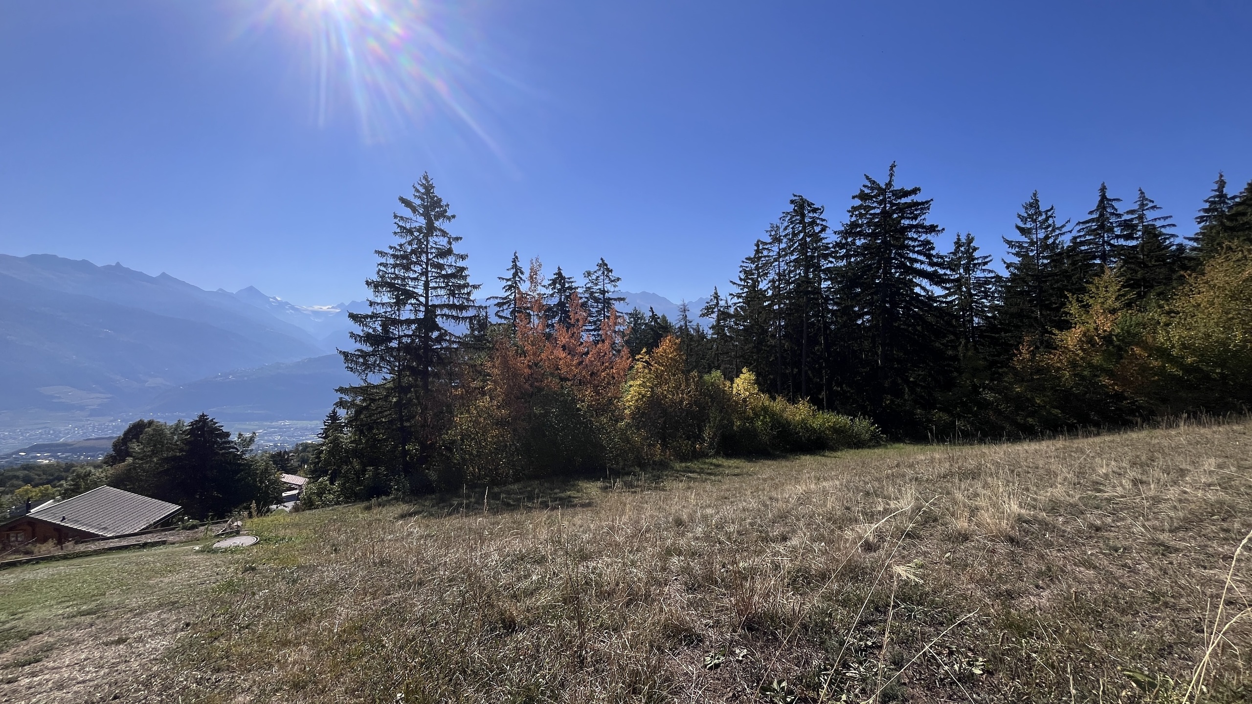 Vue du haut de la parcelle Vue du haut de la parcelle