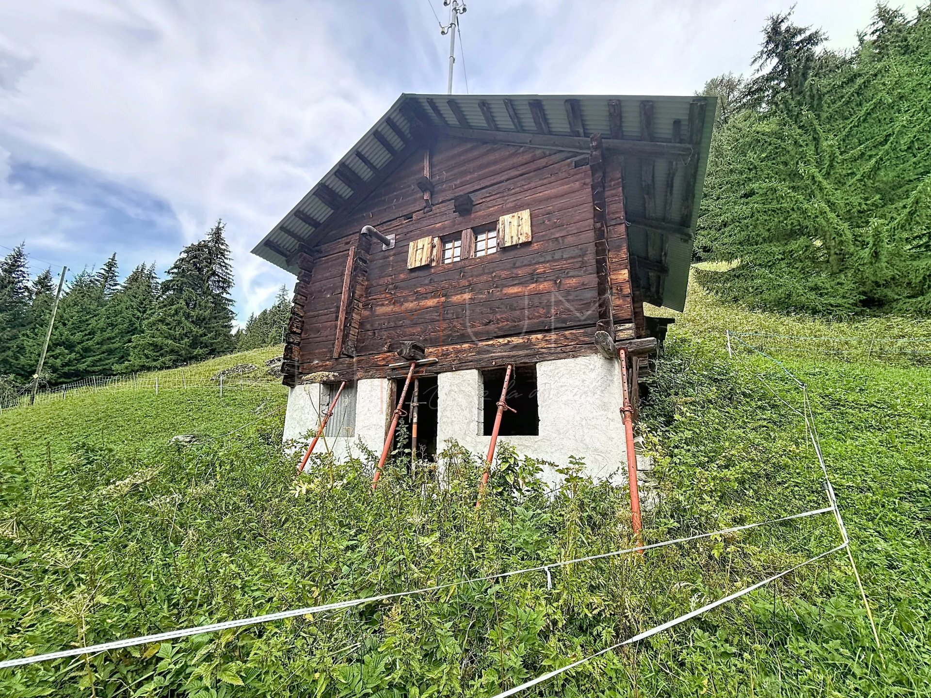 Picture 2