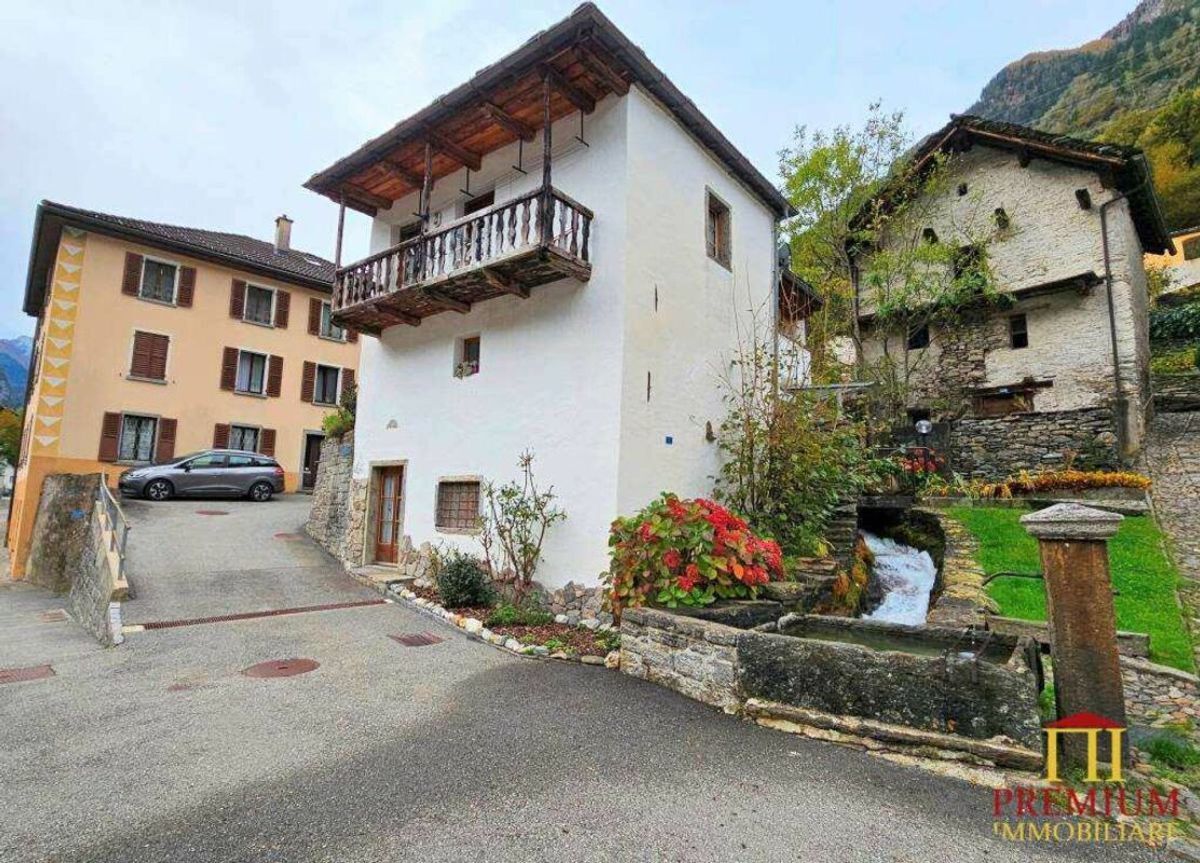 Immagine di copertina