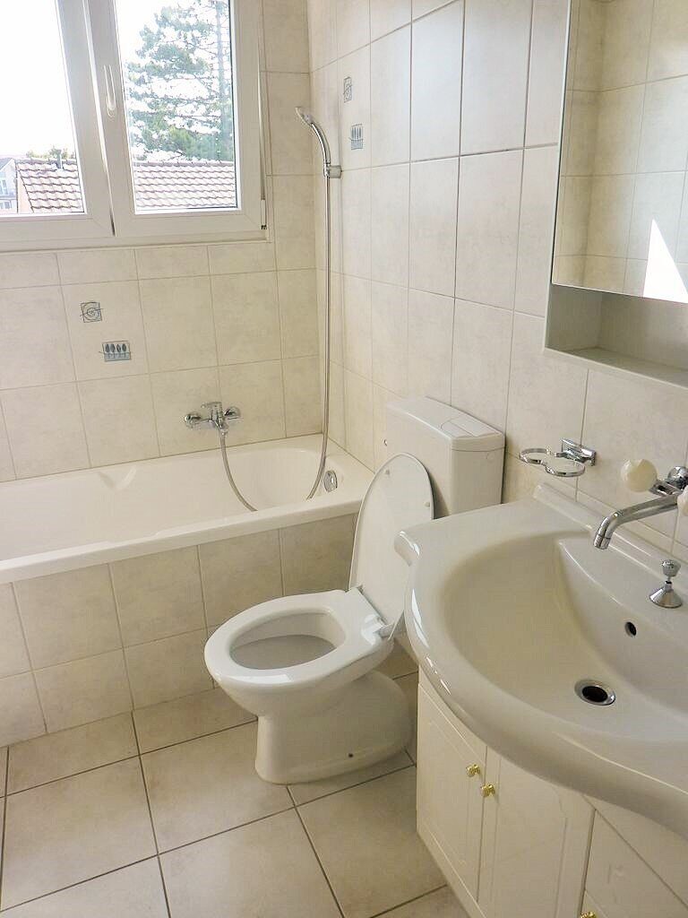 Picture 7