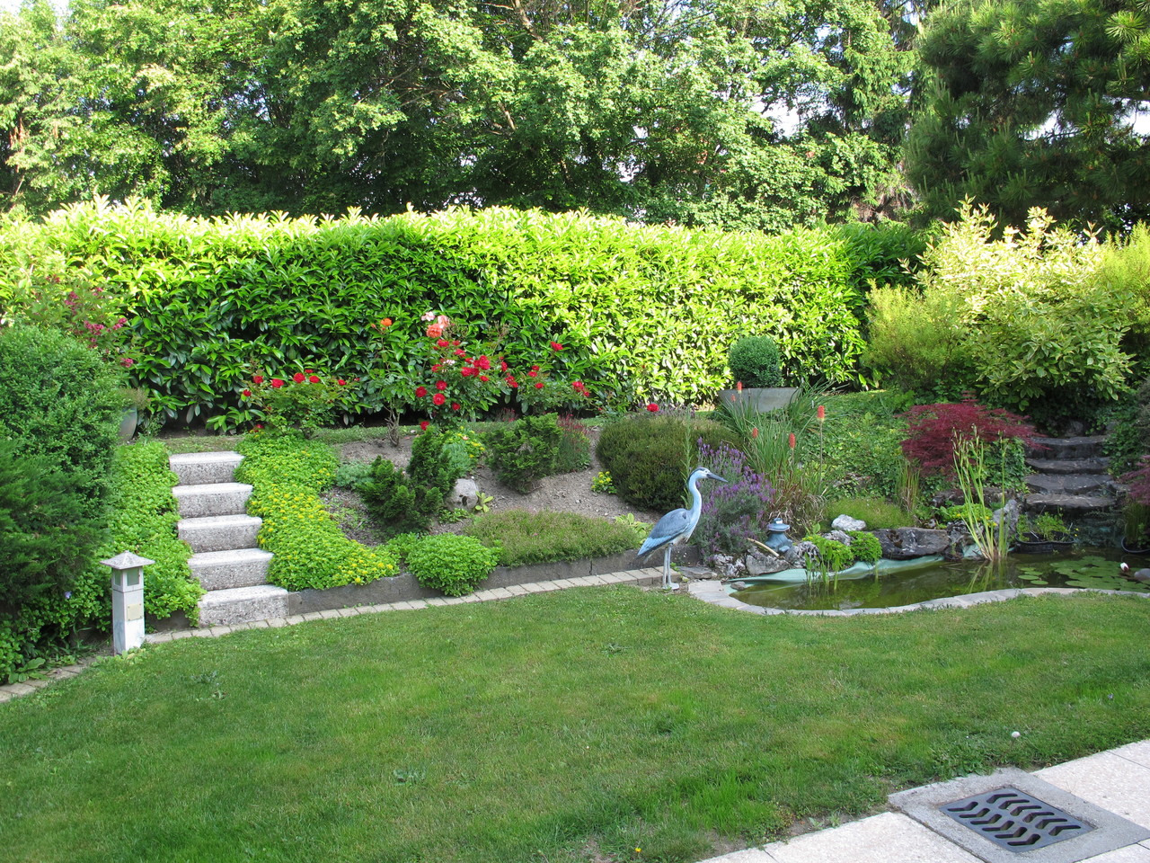 Picture 14