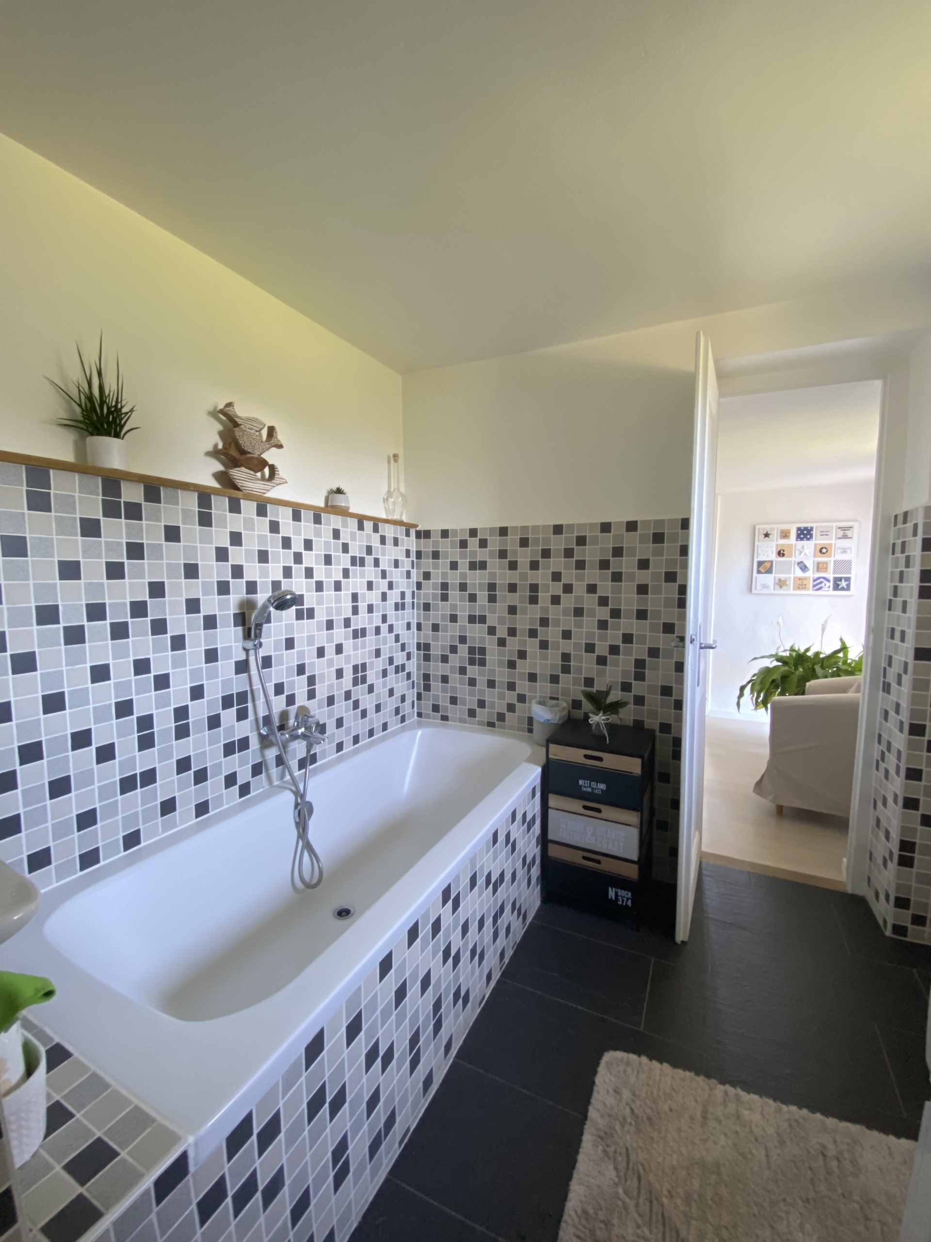 appartement 5.5 pièces