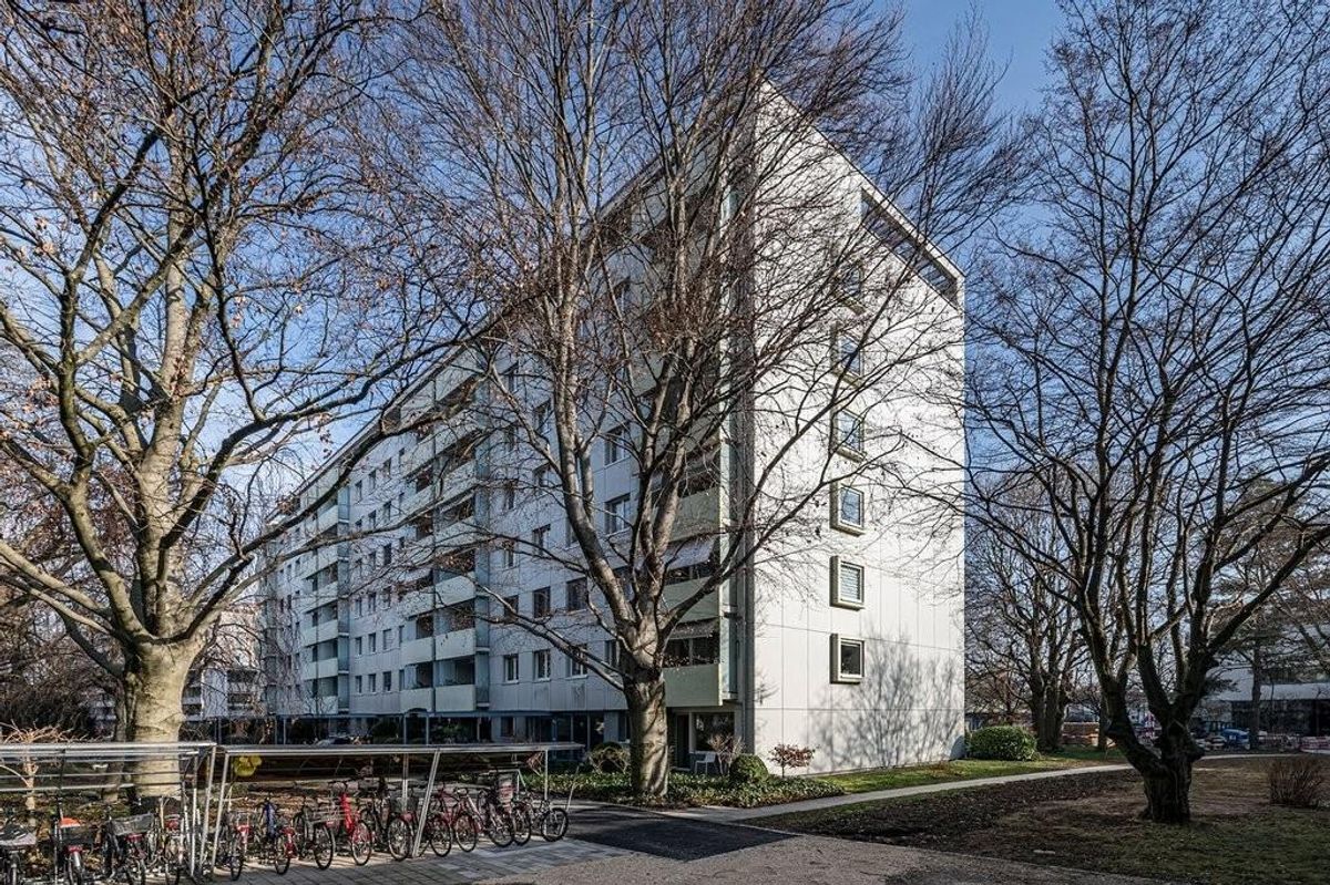 Immagine di copertina