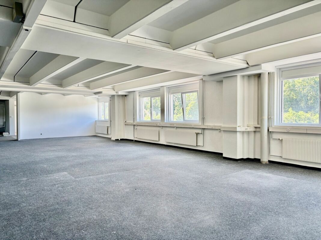 Immagine di copertina 2