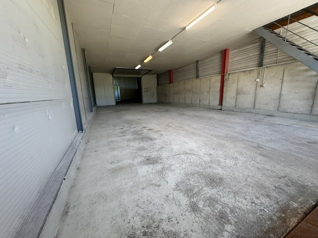 Foto 5