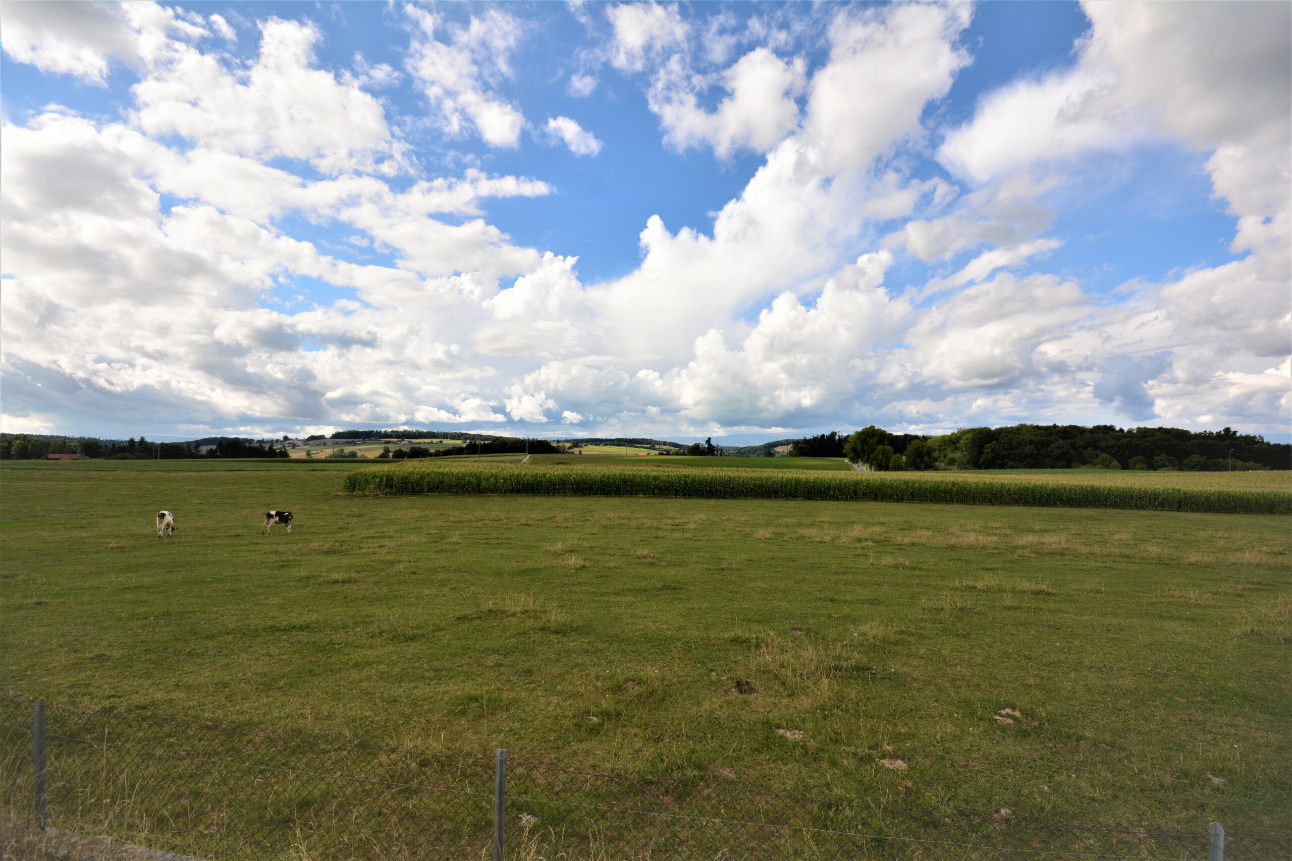 vue ouest-nord depuis le rez