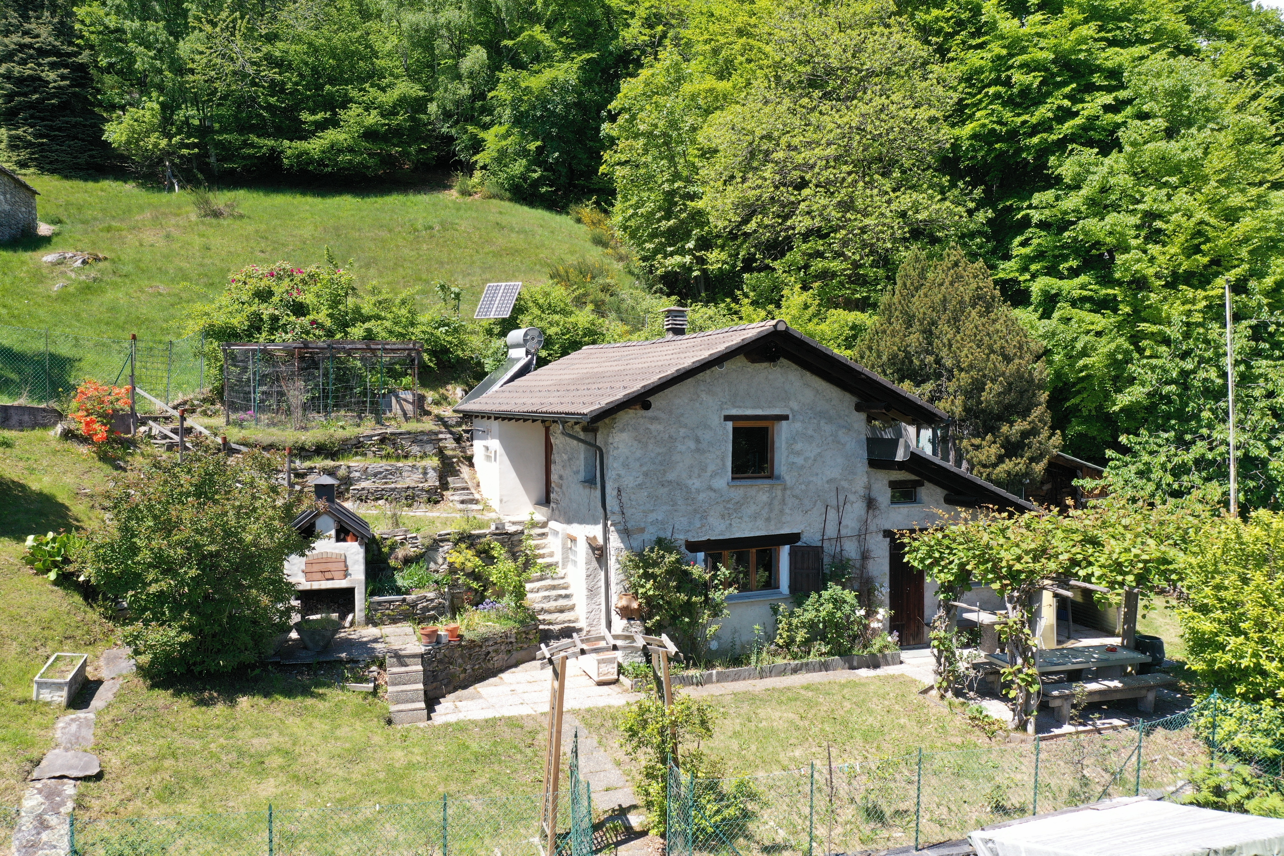 Photo 10