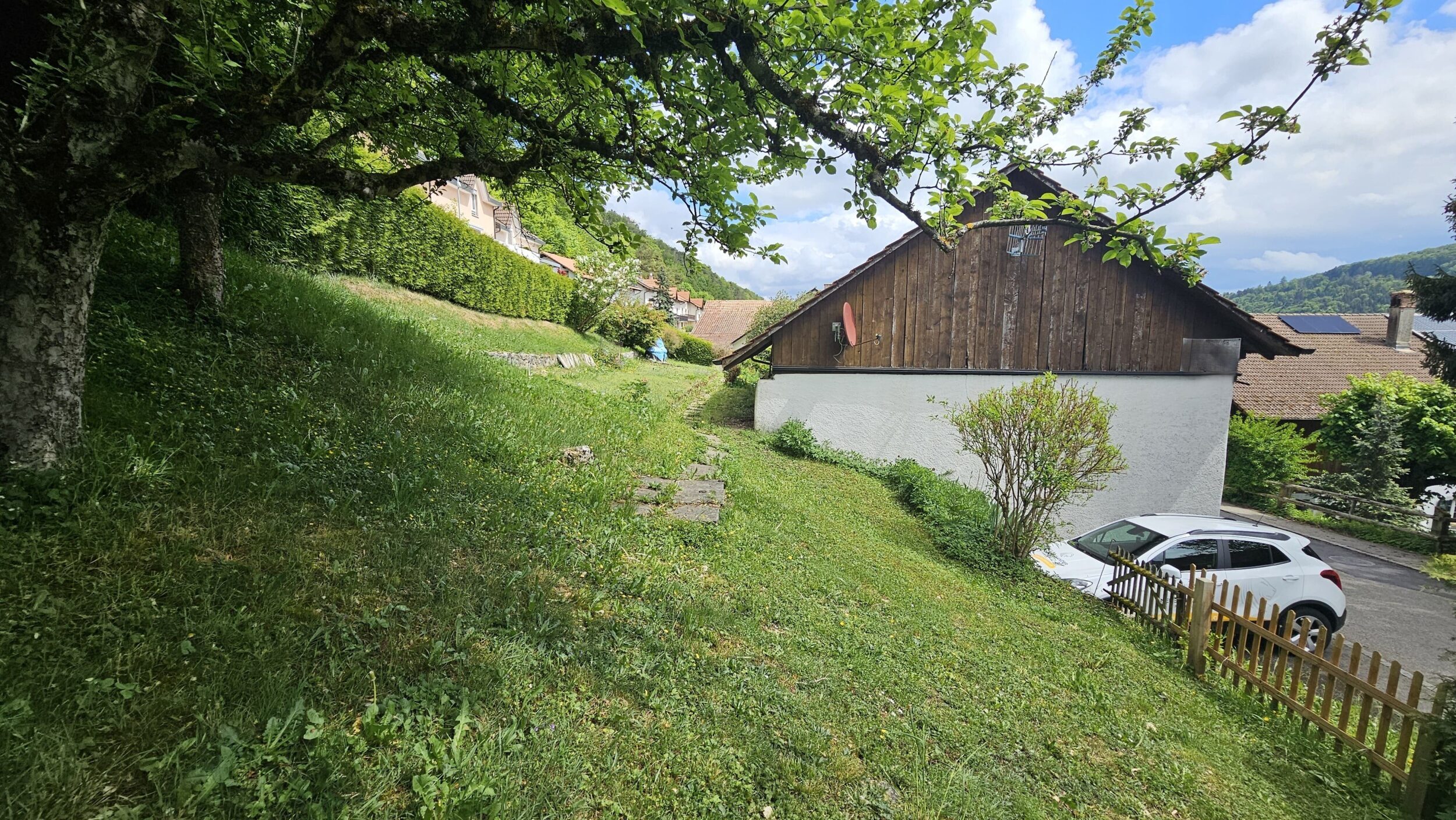 Picture 6