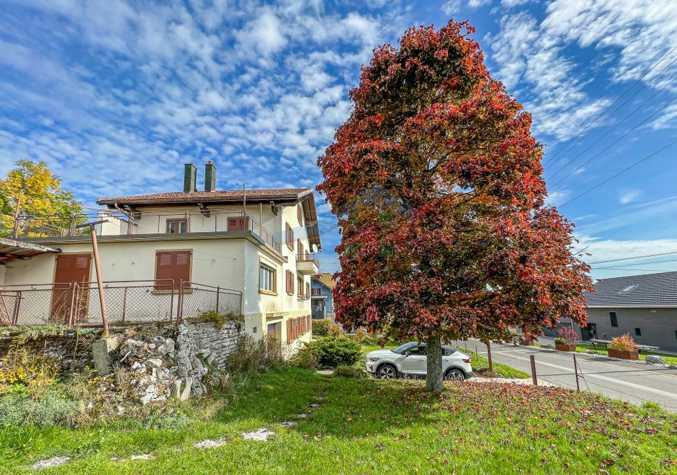 Vue maison et jardin