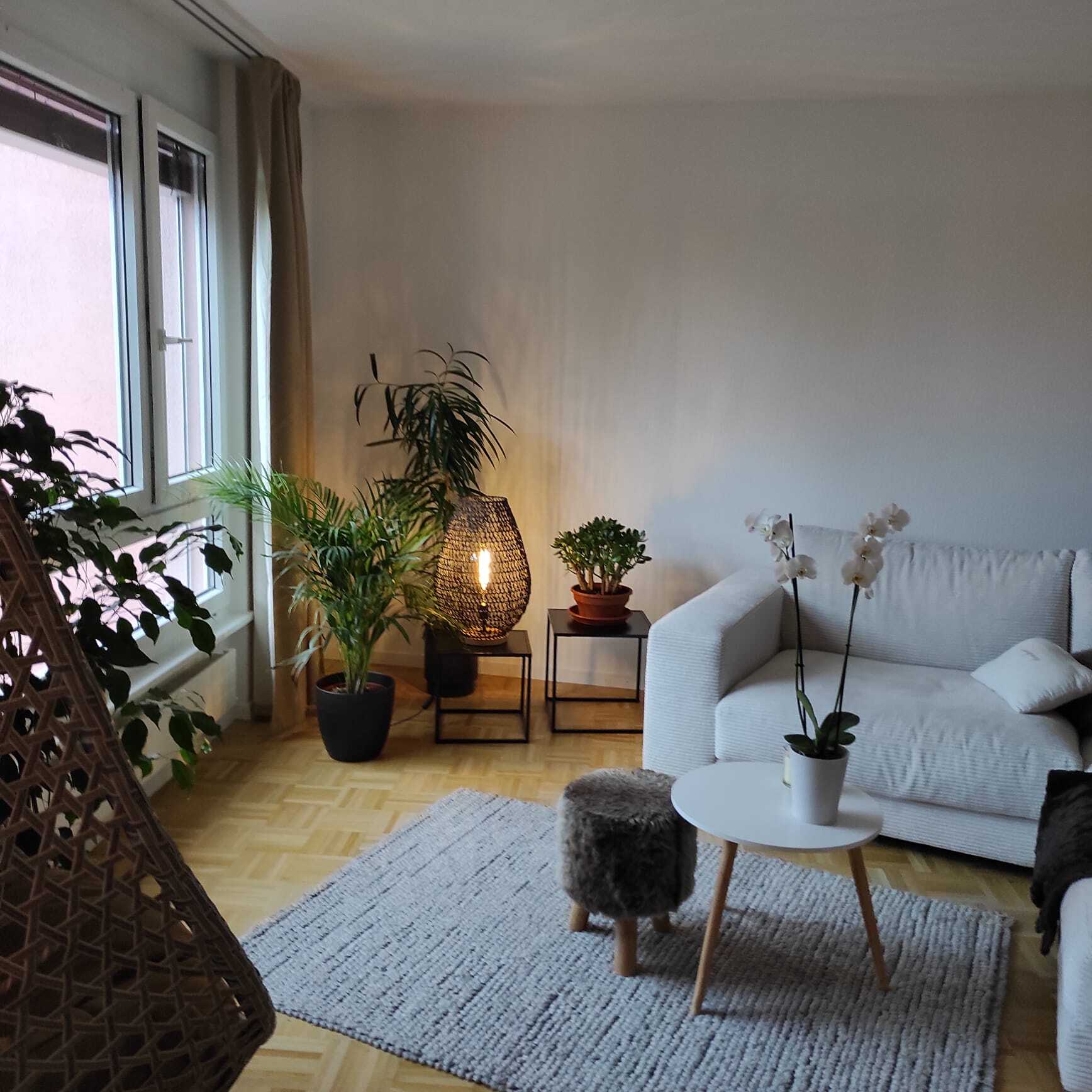 Interior view 3