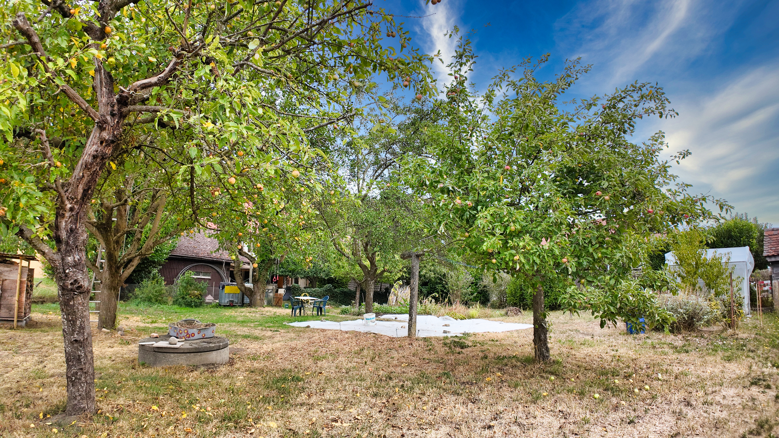 Extérieur / jardin Extérieur / jardin